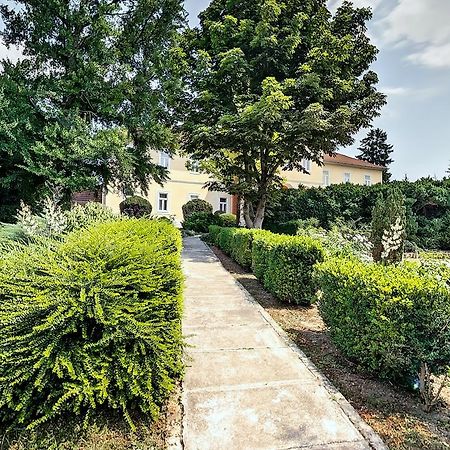 Bed and Breakfast Misefa Kastely Esterno foto